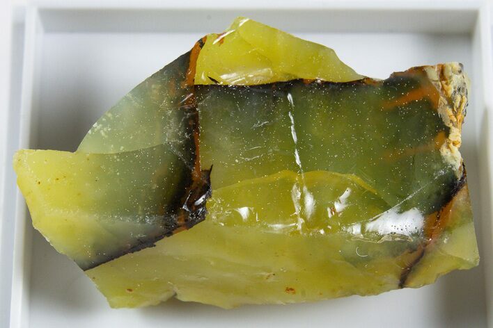 Natural Honey-Opal Specimen - Tanzania #345768